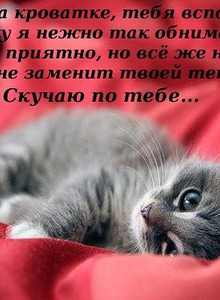 Dimochka41 My Photos photo 12823361