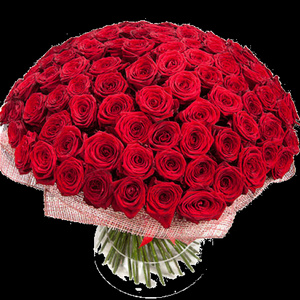 101 roses