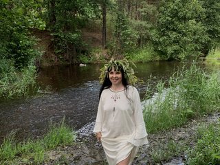 Aphelandrina