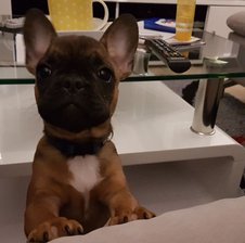 BludnyMax