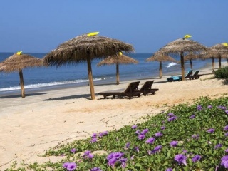 My Photos