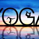годовой абонемент на йогу(yoga annual subscription)