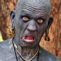vektorxxx