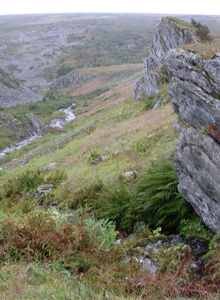 ARTYOM159 My Photos photo 10357528