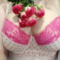 SweetFox