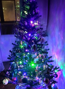 --romeo-- Для любопытной Лисички😜 photo 14292177