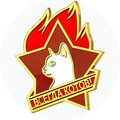 -Vozhatiy-