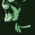 AGGRESSOR9