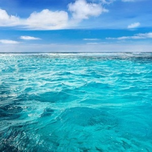 I want to go to the sea