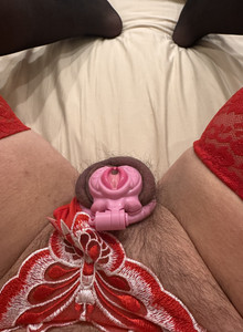 smallsausage My Photos photo 14699720