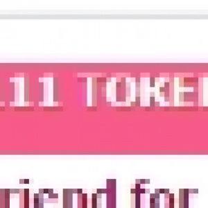 1111 токенов