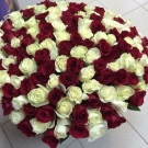 flowers (white and red roses)