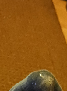 Chrisguy420 My Photos photo 8785752