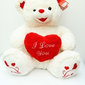 -Teddy Bear-