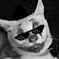 Bugs_Bunny-