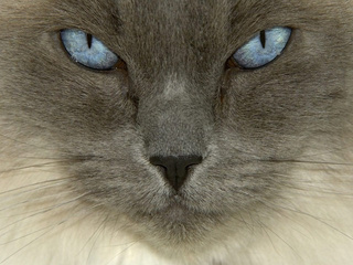 My Photos