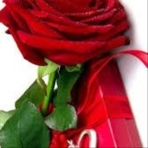 Buy me a Rose