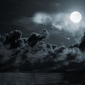 TerrisCloud