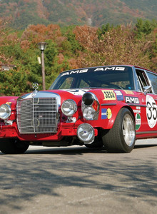 kannibal31 red pig photo 12978055