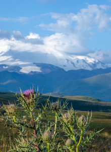 jnag My Photos photo 3411508