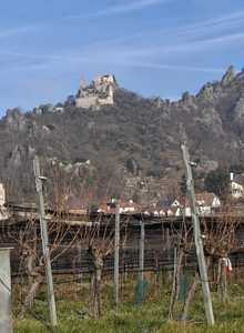 Puck_futin My Photos photo 12578500