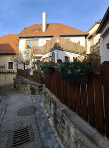 Puck_futin My Photos photo 12578509