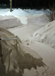 sandybanks 1 photo 14643509