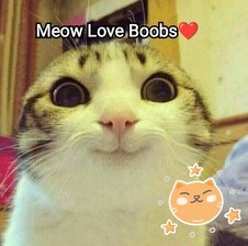 MeowLuvBoobs