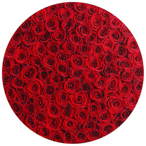 101 roses