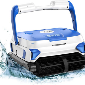 pool cleaner