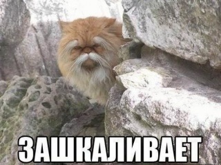 ржака