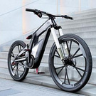 Carbon bike
