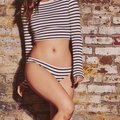Vlada1