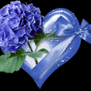 i love gift
