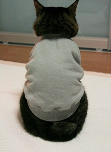 ChBronson My Photos photo 14052435