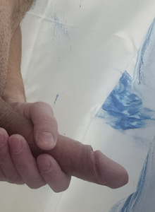 _dolphin_ My Photos photo 9987080