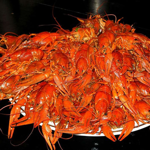 You can eat your fill of crayfish, maybe with a beer!