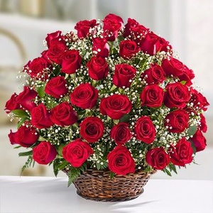 roses!
