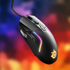 mouse