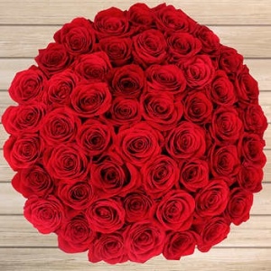  ROSES BOUQUET 