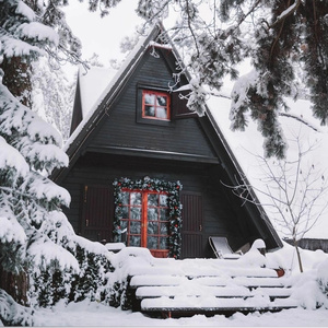 Stylish little house