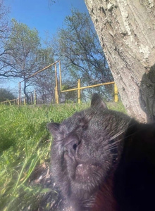 Arinka55 My Photos photo 12325432