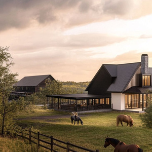 Dream Home: Art, Books, and Horses