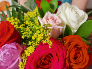 my flowers