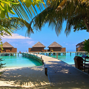 Vacation