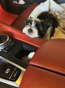 Stasss133 ВОТ ТАК  photo 13114415