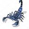 scorpion_25