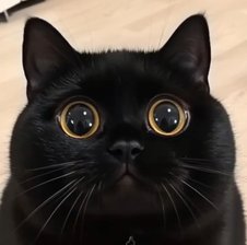 CaXaPoK_Mmm