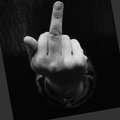 Minino_777