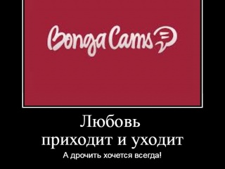 Мемы